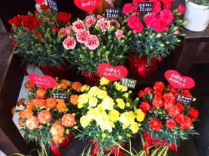 ５月１０日は母の日！早期配達がオススメです♪｜「花のクボタ」　（群馬県高崎市の花キューピット加盟店 花屋）のブログ