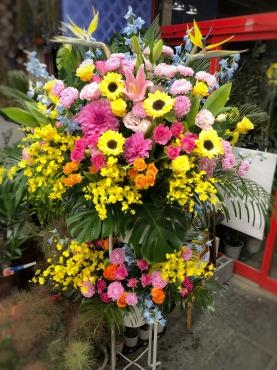 開店お祝いのスタンド花｜「花のクボタ」　（群馬県高崎市の花キューピット加盟店 花屋）のブログ