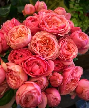 本日入荷オータムカラーなオススメ切り花|「花のクボタ」　（群馬県高崎市の花屋）のブログ