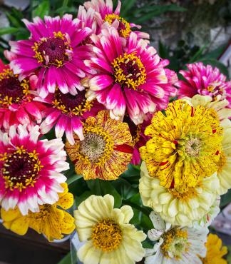 オススメのお花！|「花のクボタ」　（群馬県高崎市の花屋）のブログ