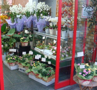 「花のクボタ」　（群馬県高崎市）の花屋店舗写真3